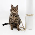 Arkika-Cat-Harness-and-Leash-travel-cat-harness-luxury-cat-harness-softcat-harness-japan-japanese-cat_2_610x610@2x